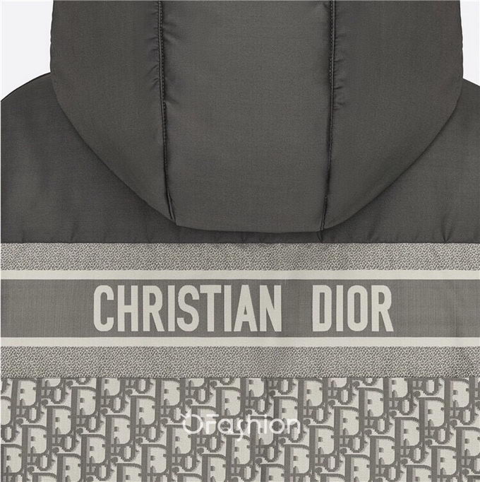 Dior Down Jacket Mens ID:20221203-105